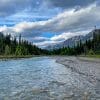 一条小溪穿过森林的加拿大阿尔伯塔省的加拿大落基山脉的背景。